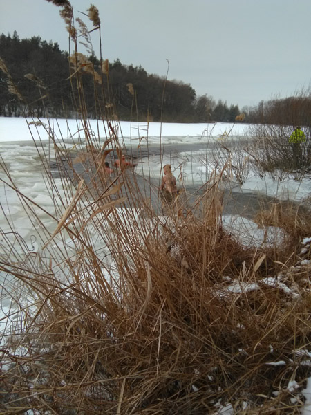 következő