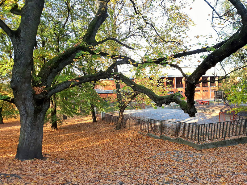 következő
