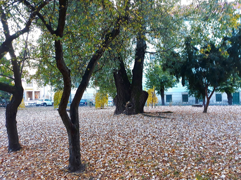 következő