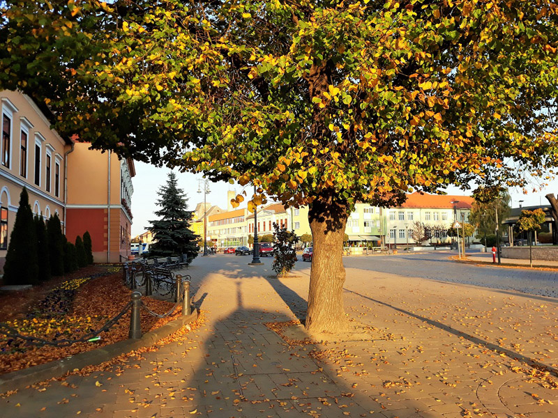 következő
