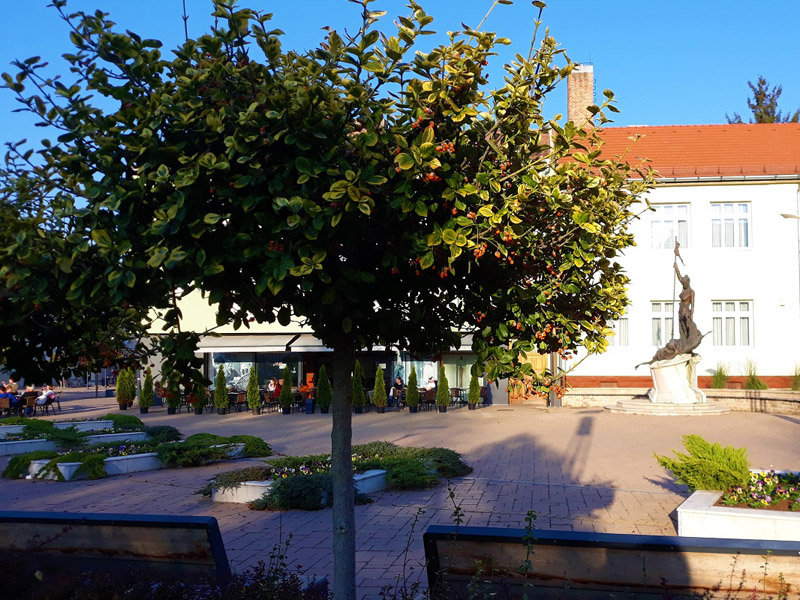 következő