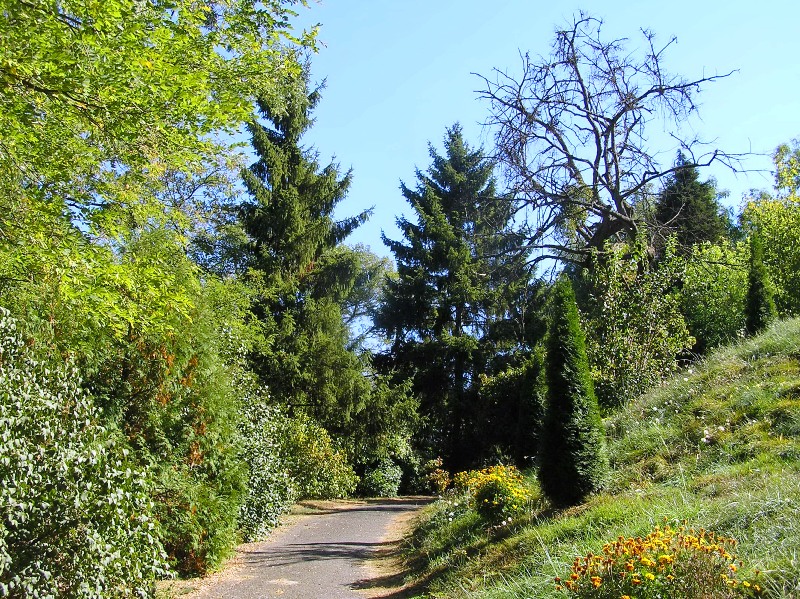következő
