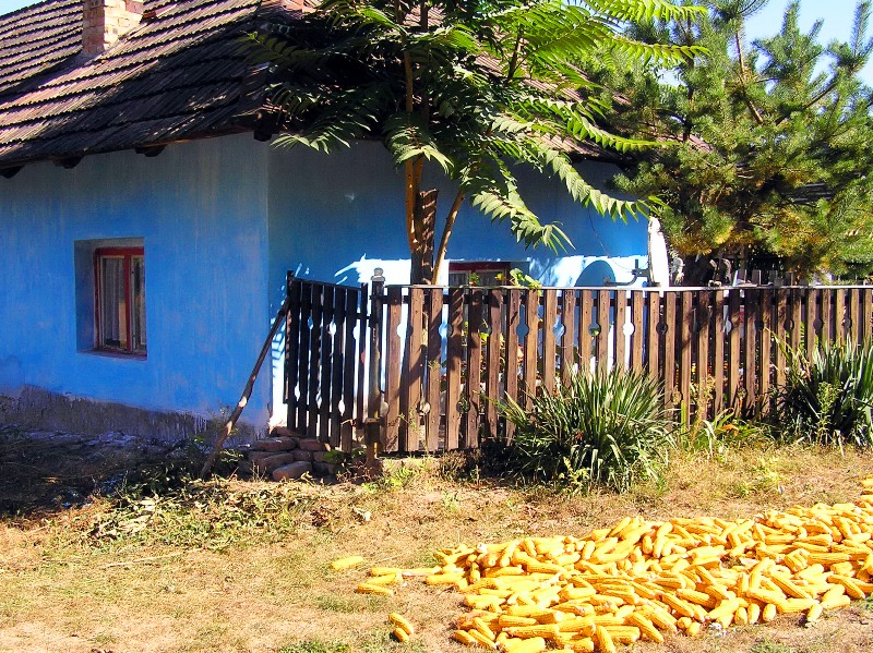 következő