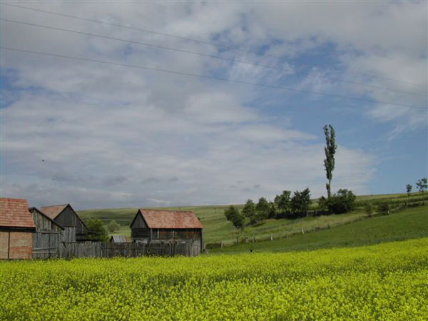 következő