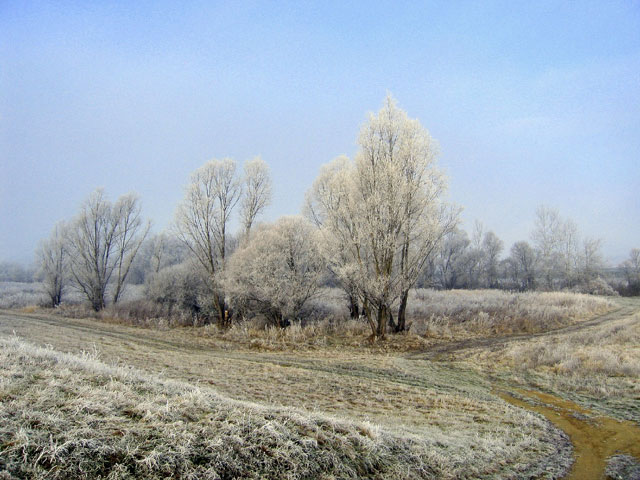 következő