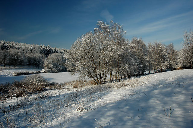 következő