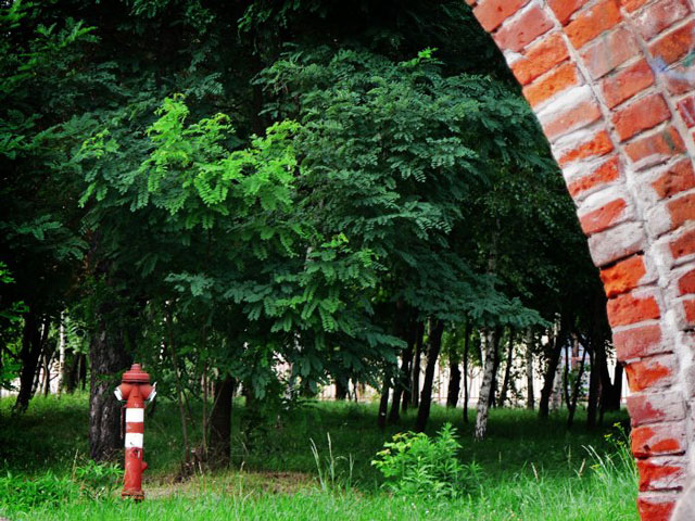 következő