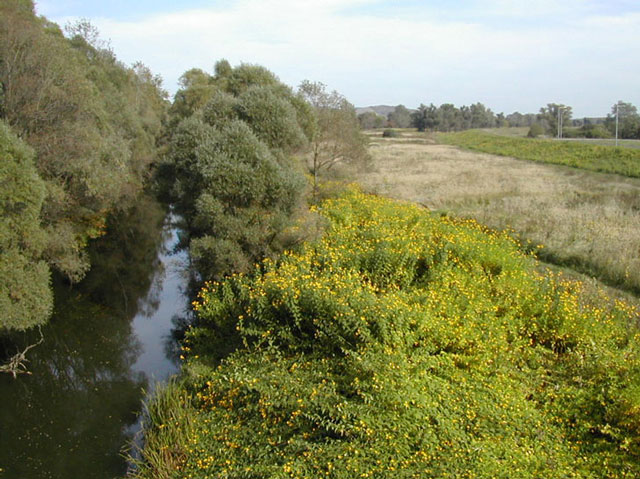 következő