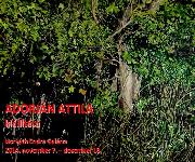 Adorjan_00.jpg