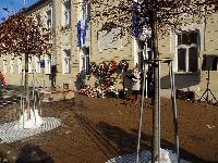 DSCN3191.jpg