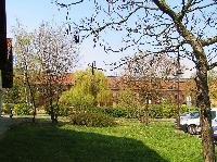 tegla14.jpg