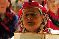 _DSC7949 copy.jpg