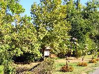 05.jpg