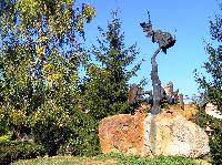 06.jpg