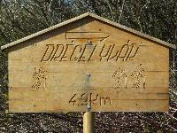 dregely04.jpg