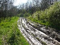 dregely05.jpg