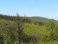 dregely06.jpg