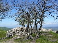 dregely09.jpg
