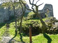 dregely13.jpg