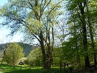 dregely14.jpg