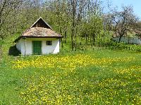 dregely15.jpg