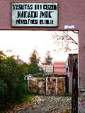 hoffer06.jpg