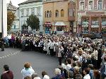 msz08.jpg