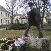 paloc02.jpg