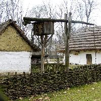 paloc05.jpg