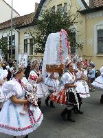 palocbucsu_17.jpg
