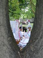 palocbucsu_23.jpg