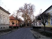 x01.jpg