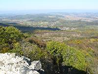 szanda05.jpg