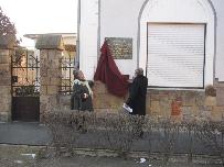 IMG_9931.jpg