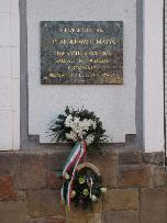 IMG_9942.jpg