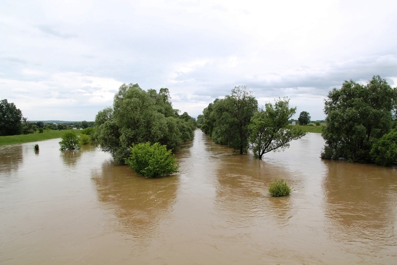 következő