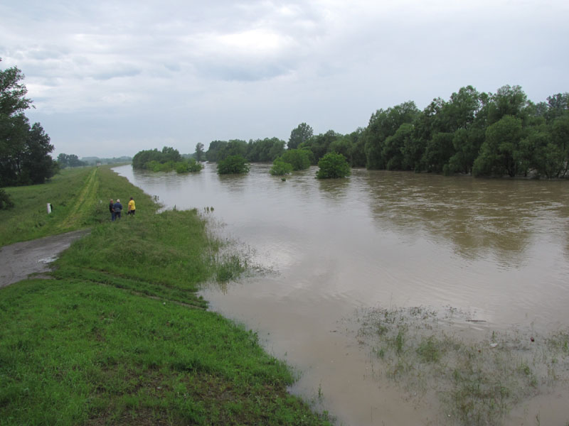 következő