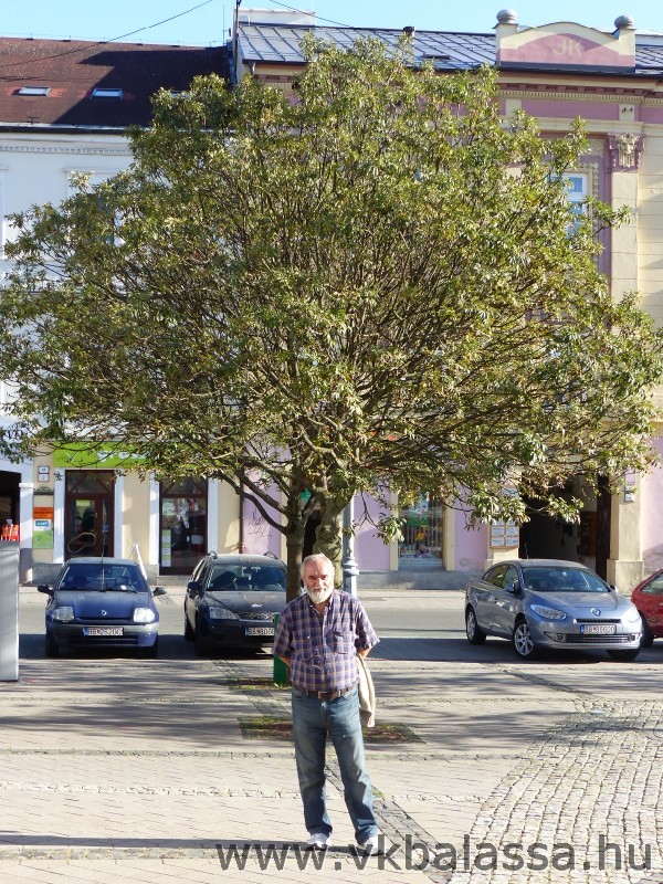következő
