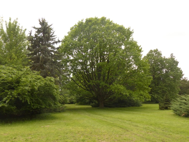 következő