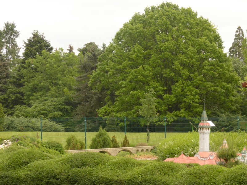 következő