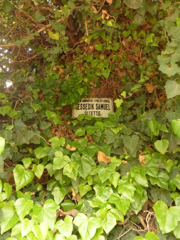 következő
