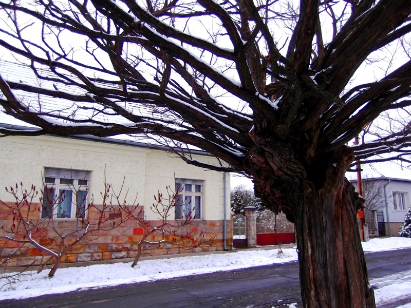 következő