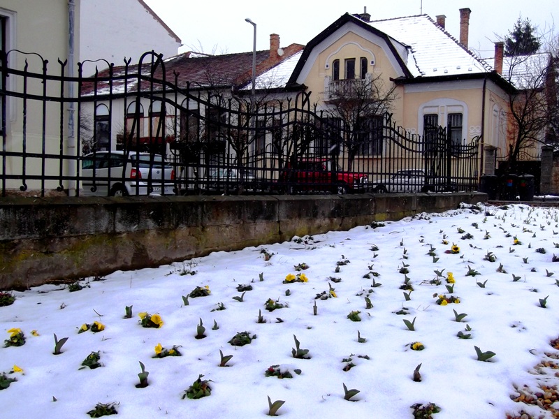következő
