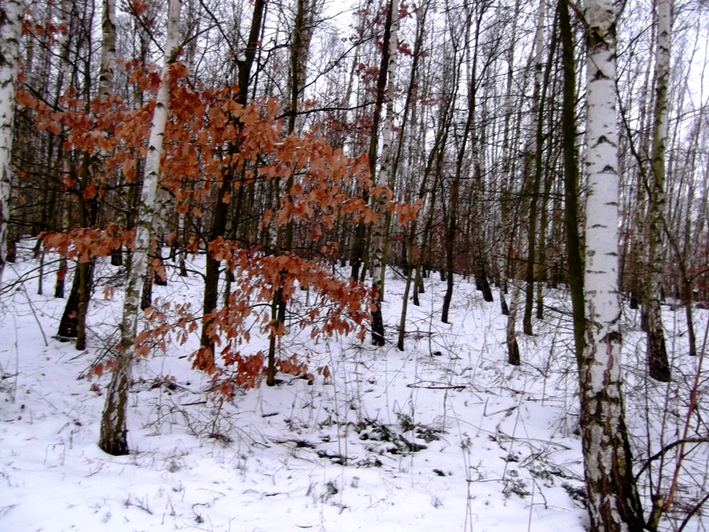 következő