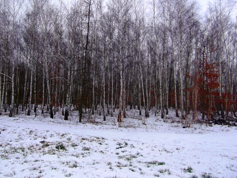 következő