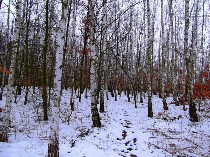 következő