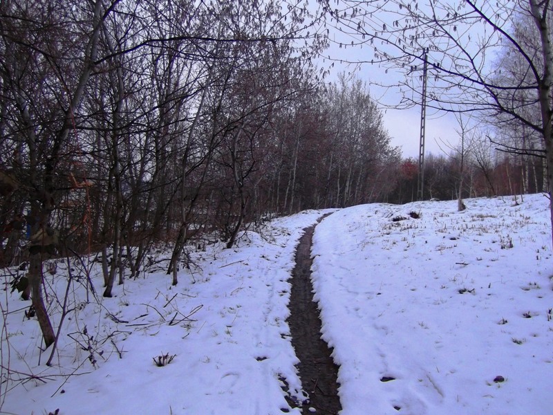 következő