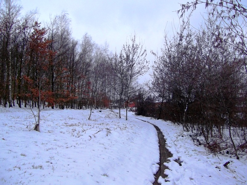 következő