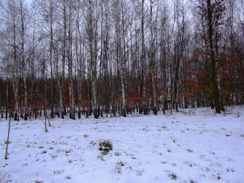 következő