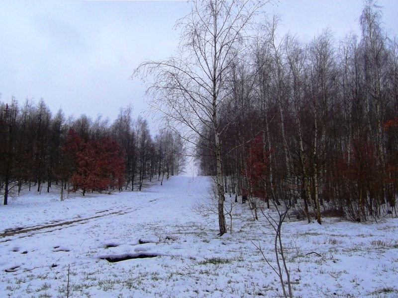 következő